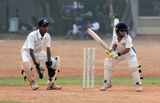 IPL’s Role in Promoting Cricket Education