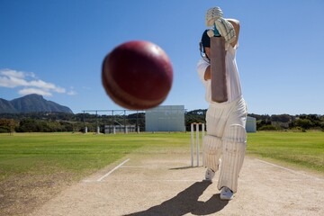 The Psychology of Cricket Fans: Superstitions and Rituals