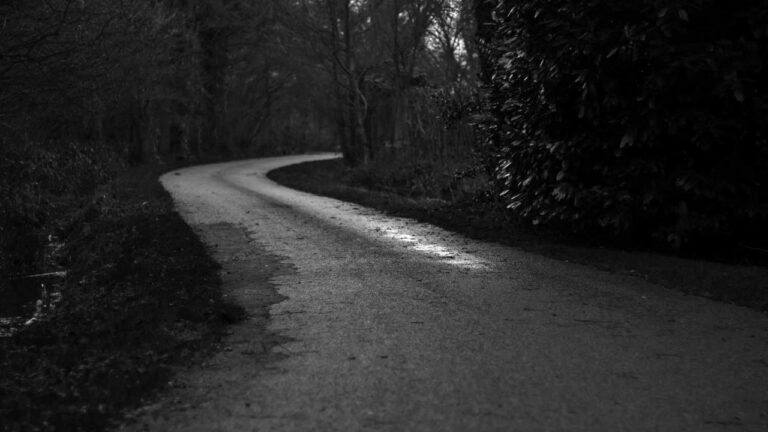 Where Can I Get The Latest Version Of The 99Exch App?